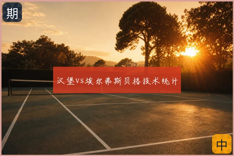 汉堡vs埃尔弗斯贝格技术统计